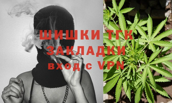 эйфоретик Богданович