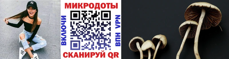Галлюциногенные грибы мицелий  Купить где  Бронницы 