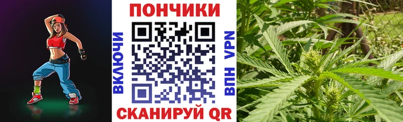 Конопля Bruce Banner  Купить где  Бронницы 